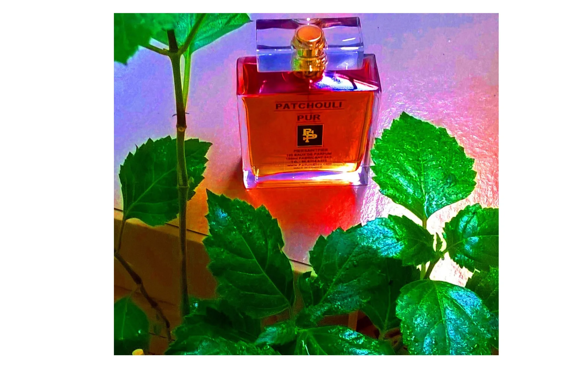 Bleu de Nice — Patchoulis & Parfums Rares