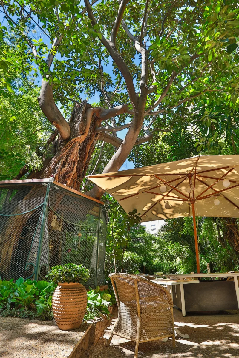 Le WindsoR — Jungle Art Hotel