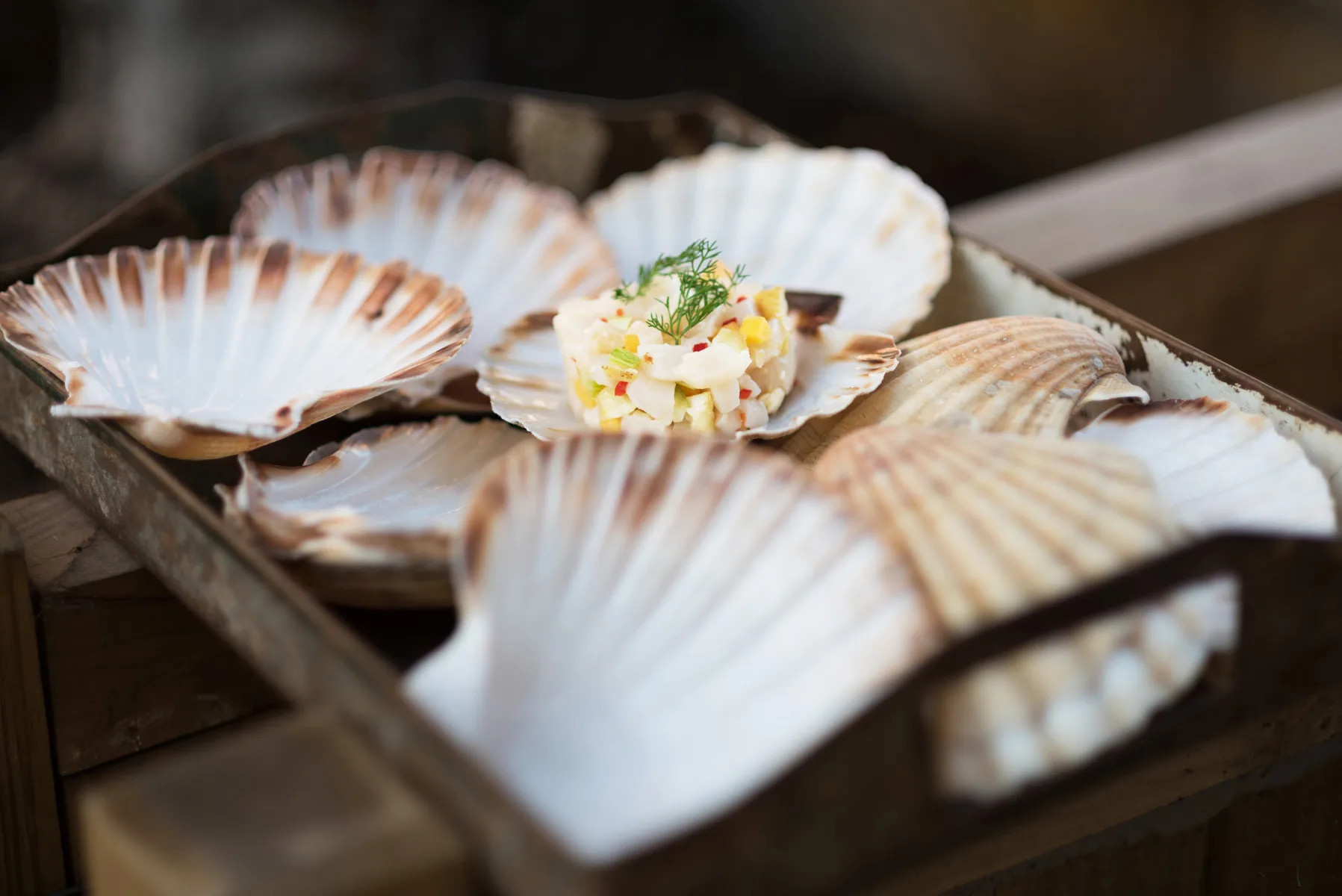 Peixes